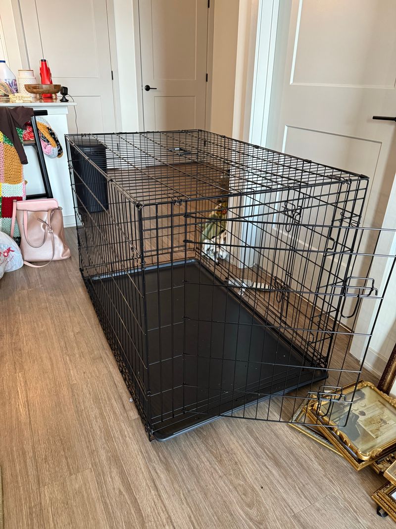 Marketplace listing image