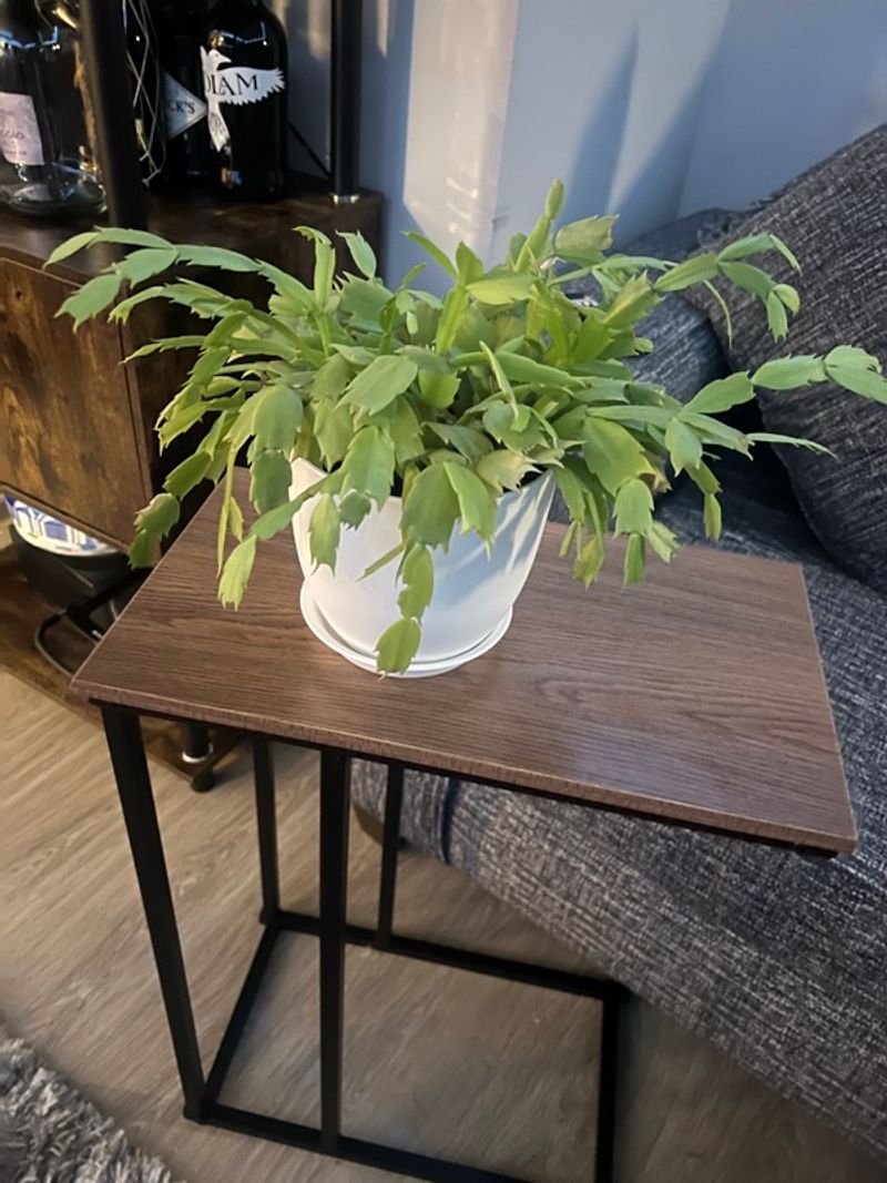 Marketplace listing image