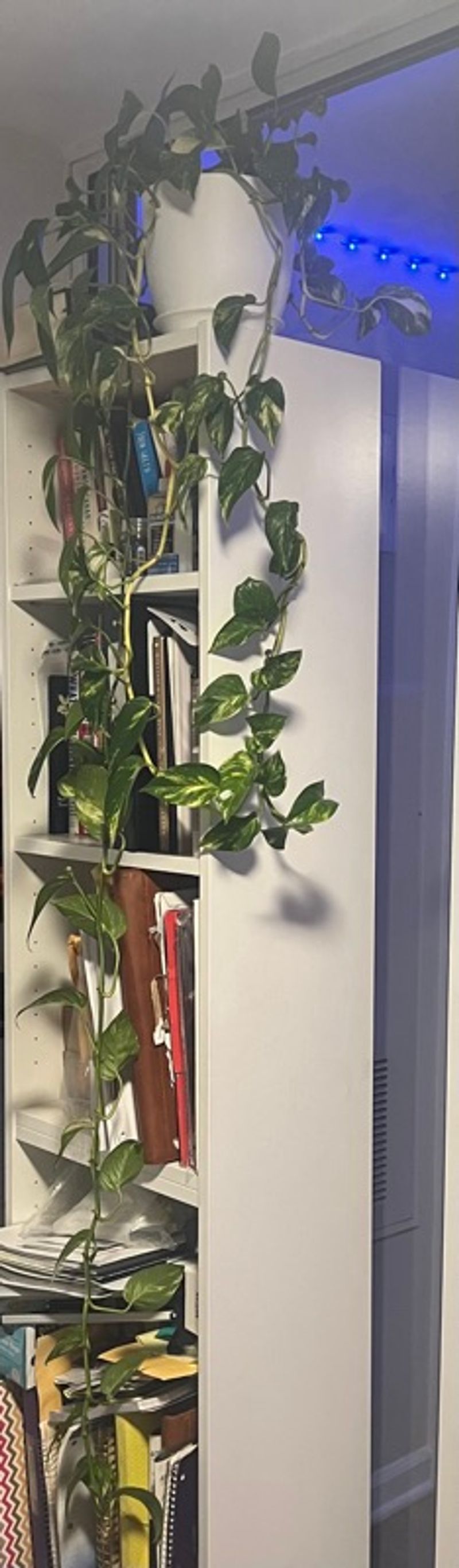 Marketplace listing image