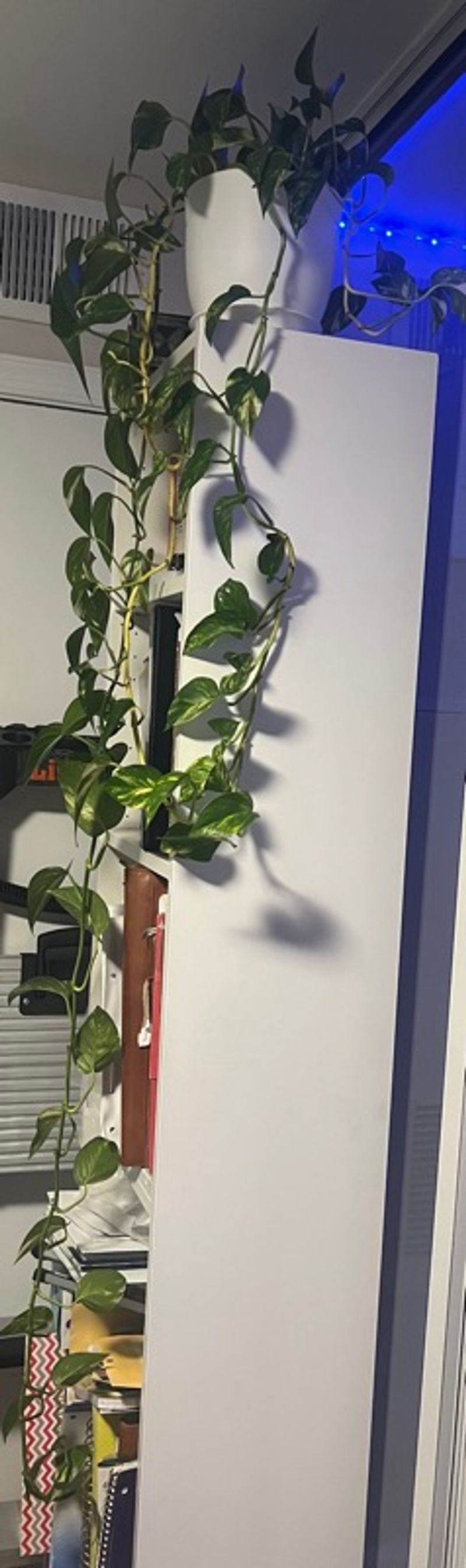 Marketplace listing image