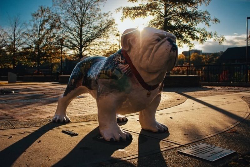 Marketplace listing image