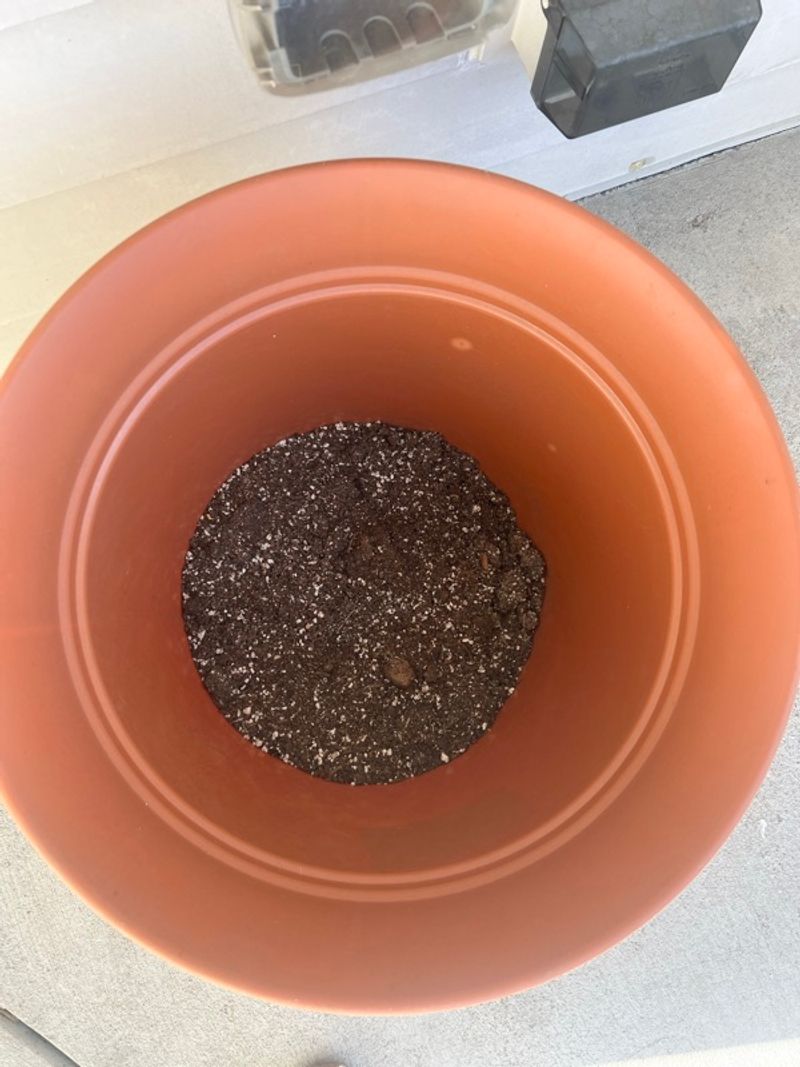 Marketplace listing image