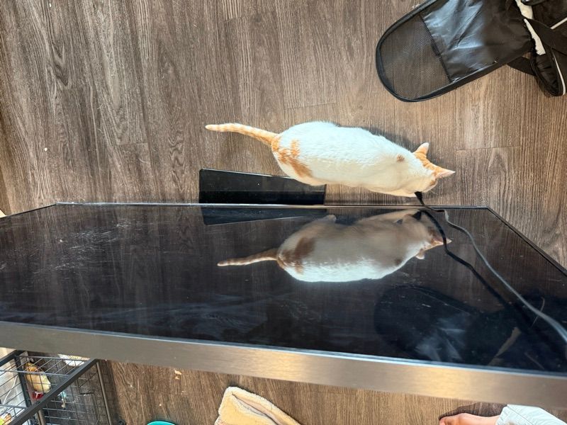 Marketplace listing image