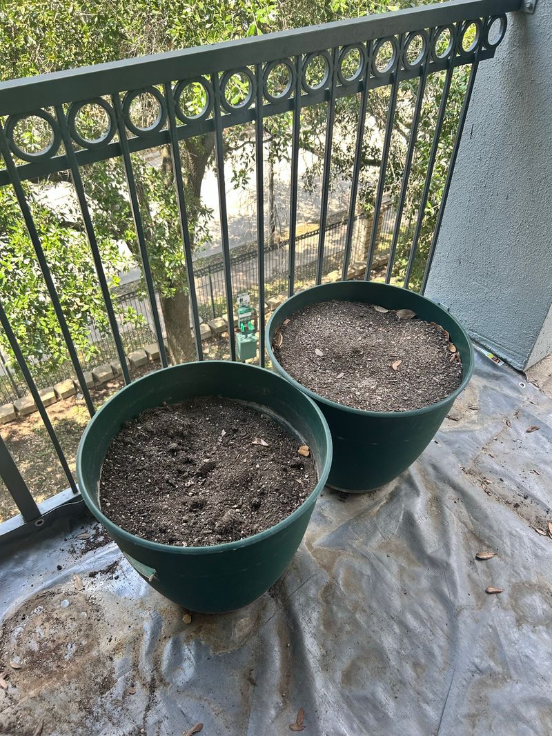 Marketplace listing image