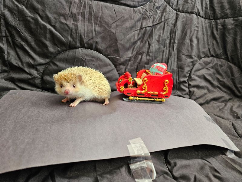 Marketplace listing image