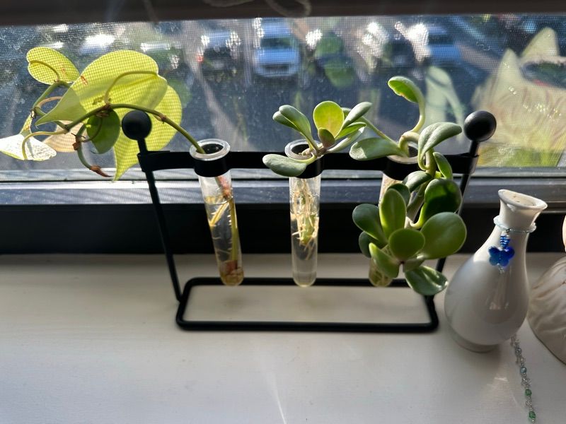 Marketplace listing image