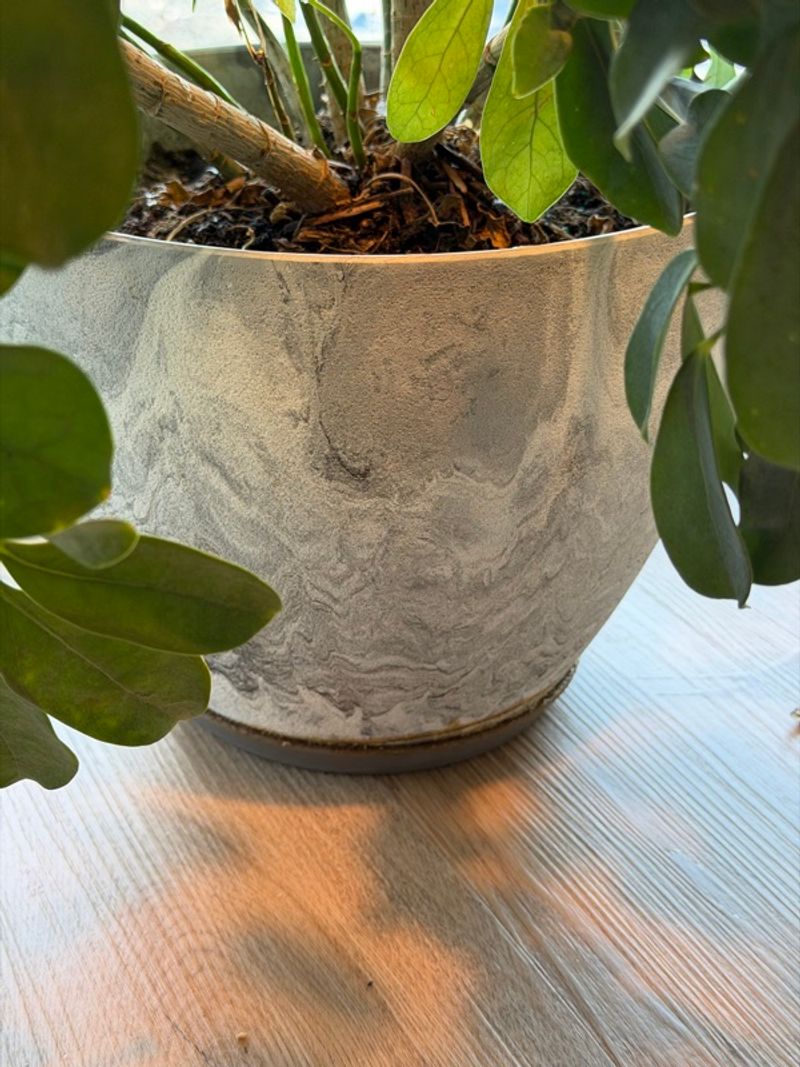 Marketplace listing image