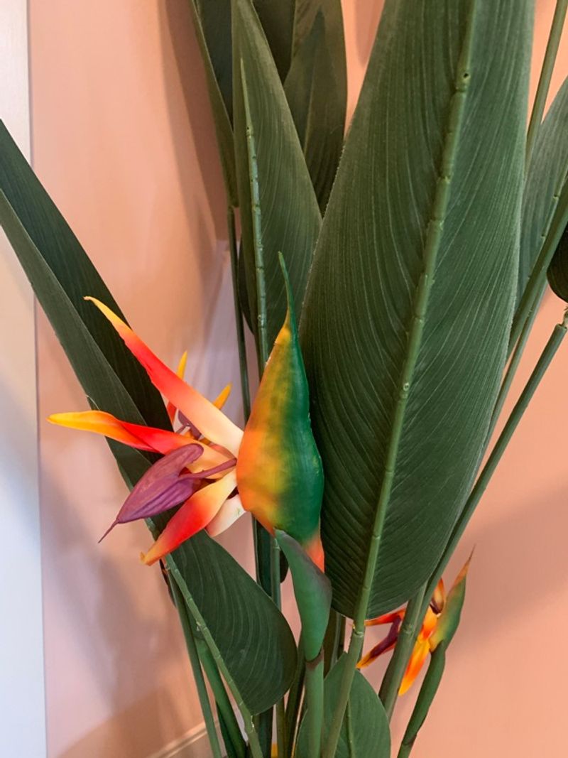 Marketplace listing image