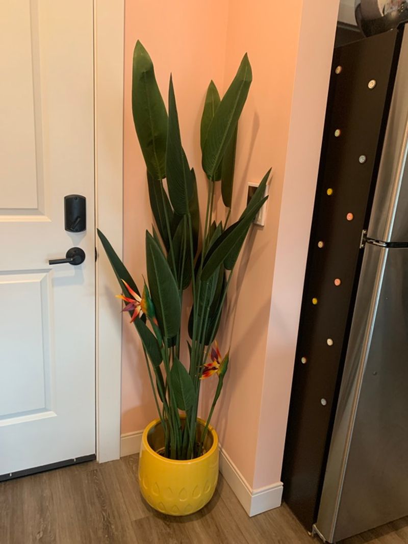 Marketplace listing image