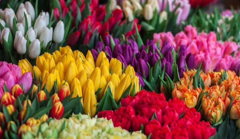 Build-Your-Own Bouquet Bar at Lavina — Bloom where you live! Join us for a Build-Your-Own Bouquet Bar where you can mix, match, and create a beautiful arrangement to take home with you! We can't wait to see what you create! Please express interest - it helps us plan better! Plus, you’ll get reminders.